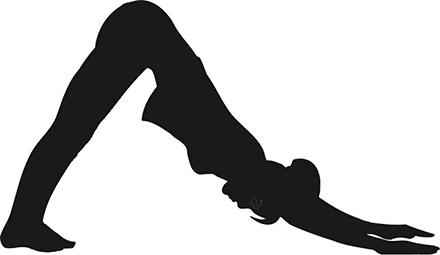 Иллюстрация к книге — Йога для всех. Руководство для начинающих [i_019.jpg]