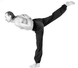 Иллюстрация к книге — Йога. Для тех, у кого «нет времени». Минимум усилий, максимум результата! [i_023.jpg]