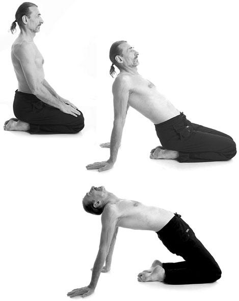 Иллюстрация к книге — Йога. Для тех, у кого «нет времени». Минимум усилий, максимум результата! [i_078.jpg]