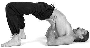 Иллюстрация к книге — Йога. Для тех, у кого «нет времени». Минимум усилий, максимум результата! [i_095.jpg]