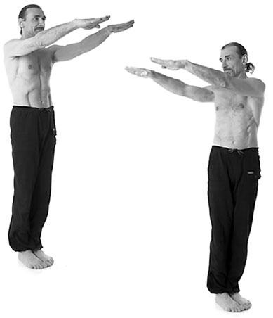 Иллюстрация к книге — Йога. Для тех, у кого «нет времени». Минимум усилий, максимум результата! [i_135.jpg]