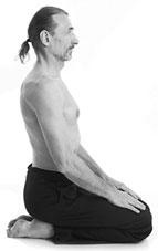 Иллюстрация к книге — Йога. Для тех, у кого «нет времени». Минимум усилий, максимум результата! [i_149.jpg]