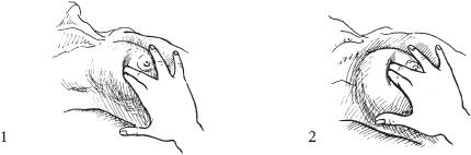 Иллюстрация к книге — Аэробика для груди [_58.jpg]