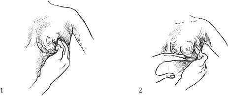 Иллюстрация к книге — Аэробика для груди [_64.jpg]