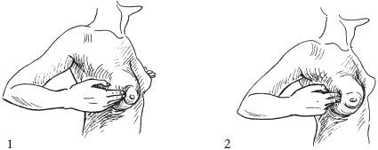 Иллюстрация к книге — Аэробика для груди [_71.jpg]