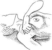 Иллюстрация к книге — Аэробика для груди [_74.jpg]