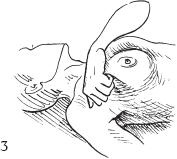 Иллюстрация к книге — Аэробика для груди [_76.jpg]