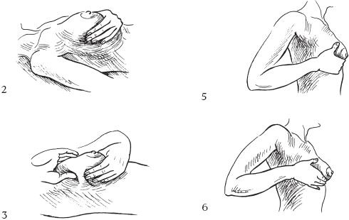 Иллюстрация к книге — Аэробика для груди [_80.jpg]