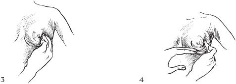 Иллюстрация к книге — Аэробика для груди [_85.jpg]