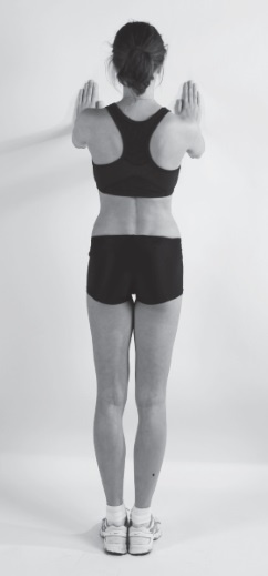 Иллюстрация к книге — Упругие ягодицы. 25 лучших упражнений [i_007.jpg]