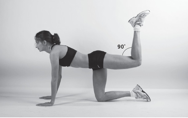 Иллюстрация к книге — Упругие ягодицы. 25 лучших упражнений [i_023.jpg]