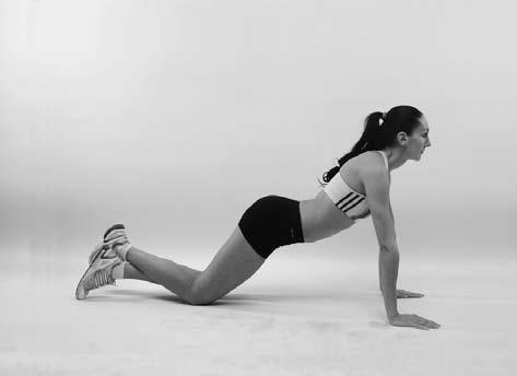 Иллюстрация к книге — Красивая грудь. 25 лучших упражнений [i_025.jpg]