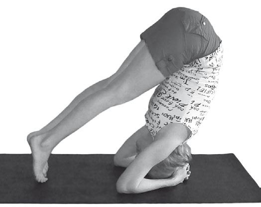 Иллюстрация к книге — Йога. Максимально просто, понятно, наглядно и полезно! [Autogen_eBook_id148.jpg]