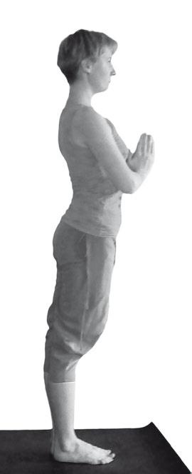 Иллюстрация к книге — Йога. Максимально просто, понятно, наглядно и полезно! [Autogen_eBook_id15.jpg]