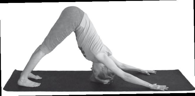 Иллюстрация к книге — Йога. Максимально просто, понятно, наглядно и полезно! [Autogen_eBook_id160.jpg]