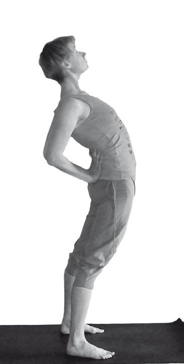 Иллюстрация к книге — Йога. Максимально просто, понятно, наглядно и полезно! [Autogen_eBook_id20.jpg]