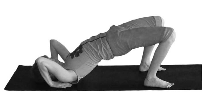 Иллюстрация к книге — Йога. Максимально просто, понятно, наглядно и полезно! [Autogen_eBook_id202.jpg]