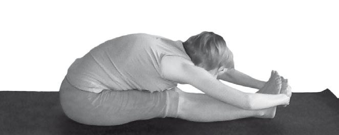 Иллюстрация к книге — Йога. Максимально просто, понятно, наглядно и полезно! [Autogen_eBook_id204.jpg]