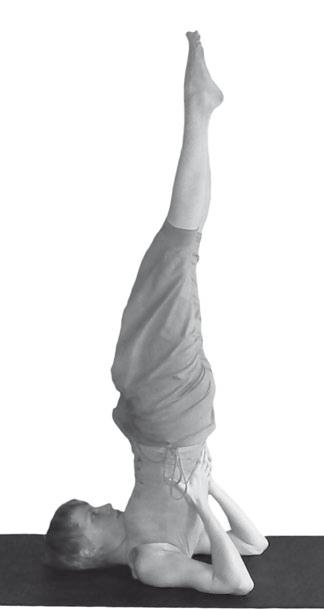 Иллюстрация к книге — Йога. Максимально просто, понятно, наглядно и полезно! [Autogen_eBook_id209.jpg]