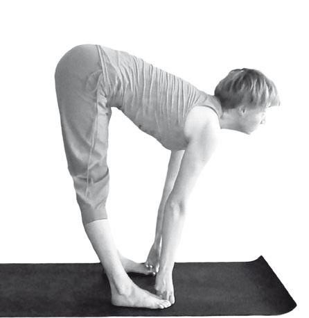 Иллюстрация к книге — Йога. Максимально просто, понятно, наглядно и полезно! [Autogen_eBook_id21.jpg]