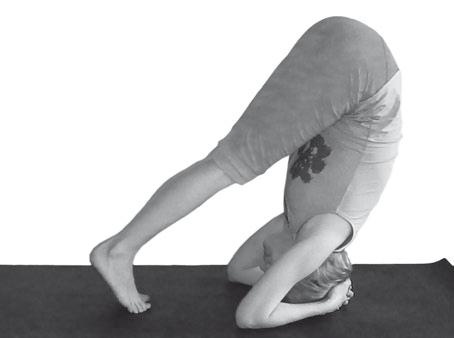 Иллюстрация к книге — Йога. Максимально просто, понятно, наглядно и полезно! [Autogen_eBook_id211.jpg]