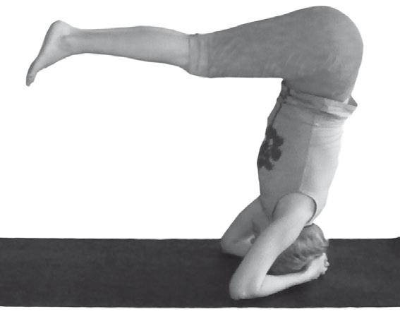 Иллюстрация к книге — Йога. Максимально просто, понятно, наглядно и полезно! [Autogen_eBook_id213.jpg]