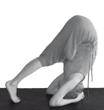 Иллюстрация к книге — Йога. Максимально просто, понятно, наглядно и полезно! [Autogen_eBook_id68.jpg]