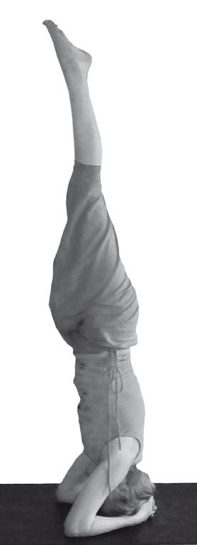 Иллюстрация к книге — Йога. Максимально просто, понятно, наглядно и полезно! [Autogen_eBook_id69.jpg]