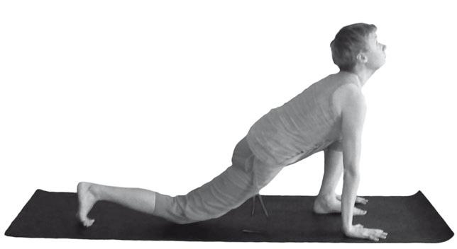 Иллюстрация к книге — Йога. Максимально просто, понятно, наглядно и полезно! [Autogen_eBook_id7.jpg]