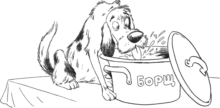 Иллюстрация к книге — Я тоже была толстой [i_013.jpg]