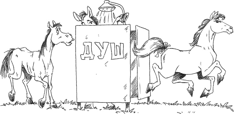 Иллюстрация к книге — Я тоже была толстой [i_019.jpg]