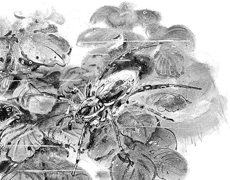 Иллюстрация к книге — Умный дикобраз [i_021.jpg]