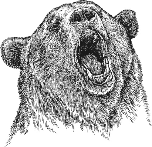 Иллюстрация к книге — Умный дикобраз [i_059.jpg]