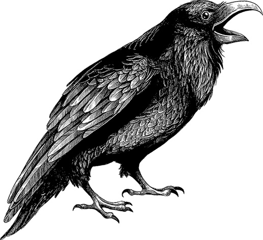 Иллюстрация к книге — Умный дикобраз [i_061.jpg]