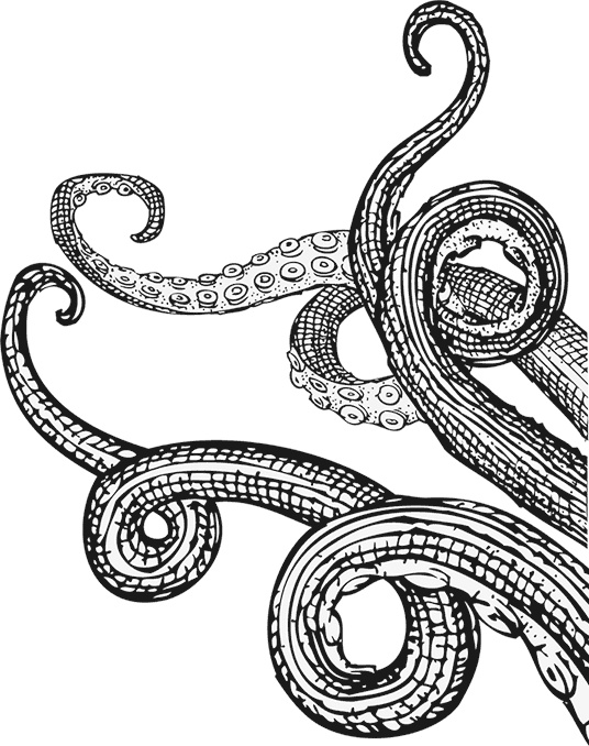 Иллюстрация к книге — Умный дикобраз [i_103.jpg]