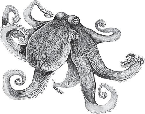 Иллюстрация к книге — Живые домики. С вопросами и ответами для почемучек [_17.jpg]