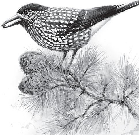 Иллюстрация к книге — Живые домики. С вопросами и ответами для почемучек [_19.jpg]