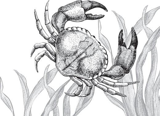 Иллюстрация к книге — Живые домики. С вопросами и ответами для почемучек [_20.jpg]