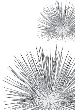 Иллюстрация к книге — Живые домики. С вопросами и ответами для почемучек [_21.jpg]