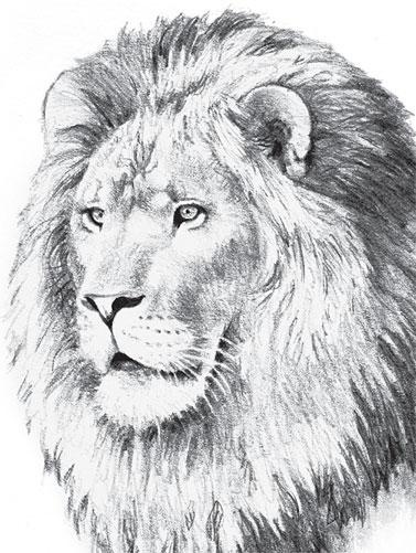 Иллюстрация к книге — Живые домики. С вопросами и ответами для почемучек [_34.jpg]