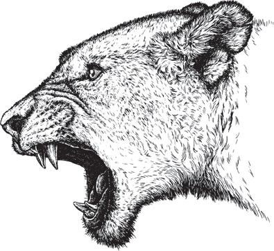 Иллюстрация к книге — Живые домики. С вопросами и ответами для почемучек [_36.jpg]