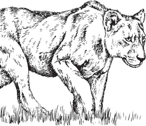 Иллюстрация к книге — Живые домики. С вопросами и ответами для почемучек [_39.jpg]