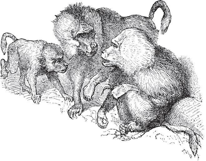 Иллюстрация к книге — Живые домики. С вопросами и ответами для почемучек [_45.jpg]