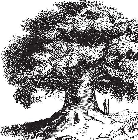 Иллюстрация к книге — Живые домики. С вопросами и ответами для почемучек [_50.jpg]