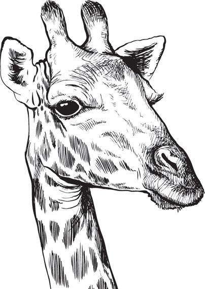 Иллюстрация к книге — Живые домики. С вопросами и ответами для почемучек [_52.jpg]