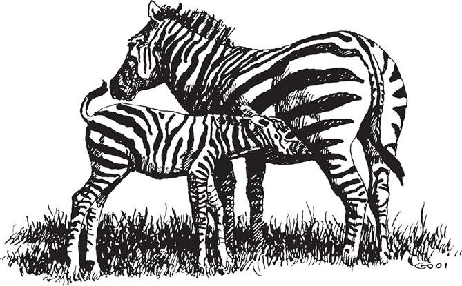 Иллюстрация к книге — Живые домики. С вопросами и ответами для почемучек [_53.jpg]