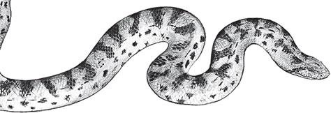 Иллюстрация к книге — Живые домики. С вопросами и ответами для почемучек [_60.jpg]