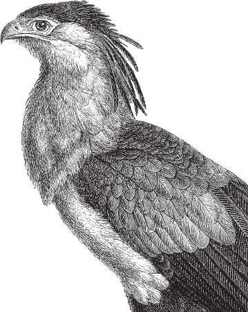 Иллюстрация к книге — Живые домики. С вопросами и ответами для почемучек [_61.jpg]