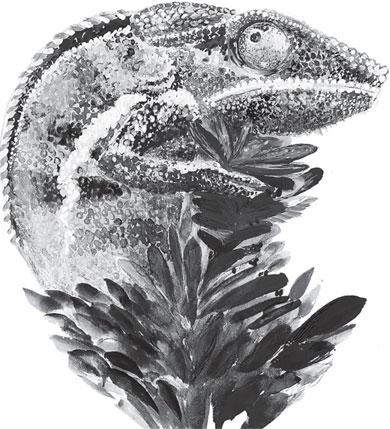 Иллюстрация к книге — Живые домики. С вопросами и ответами для почемучек [_65.jpg]