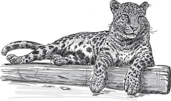 Иллюстрация к книге — Живые домики. С вопросами и ответами для почемучек [_78.jpg]